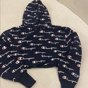Champion cropped logo hoodie